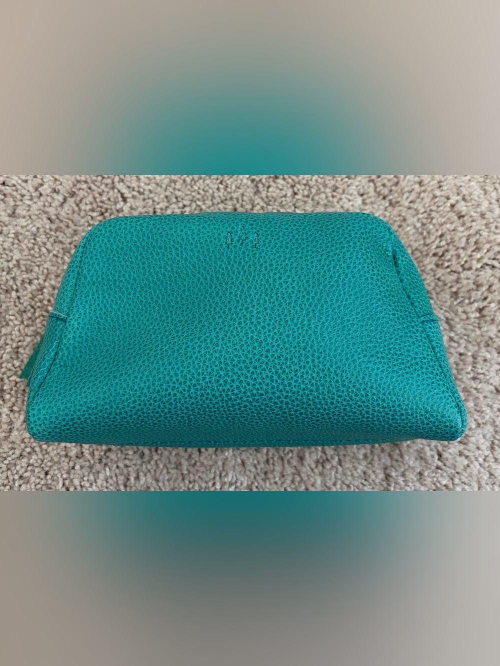 Portland Leather Goods Astra pouch in Seafoam